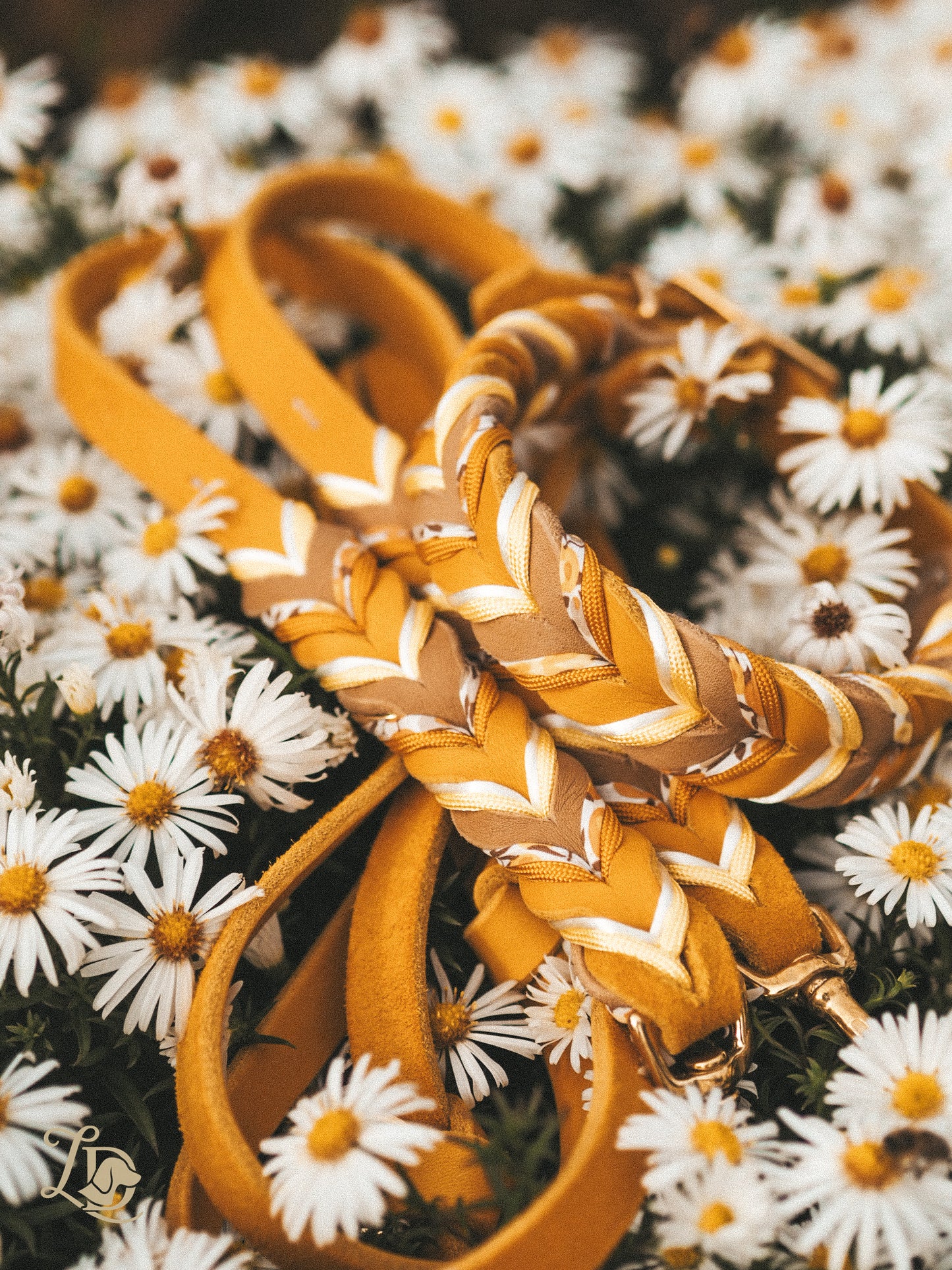 Buttercup Leine Gelb