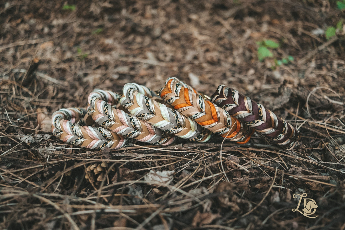 Fettleder - Was genau steckt dahinter?