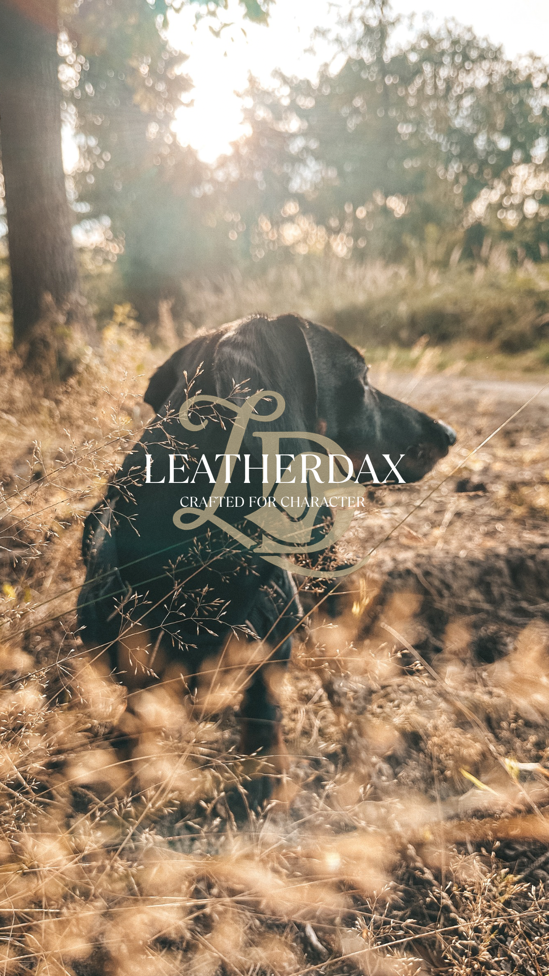 LEATHERDAX - Wie es zu unserer Marke kam