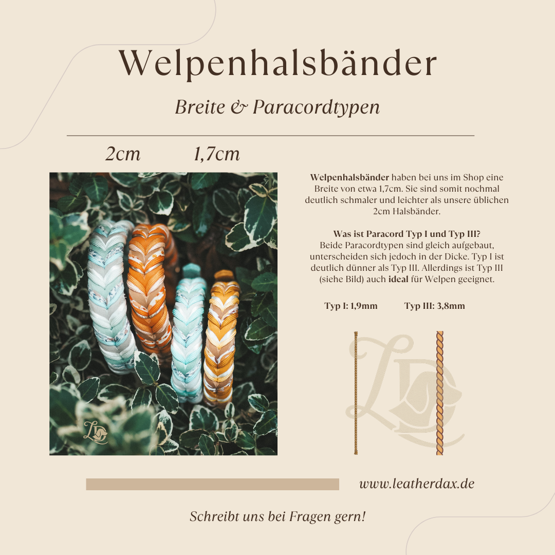 Individuelles Welpenhalsband (Zwergdackel)