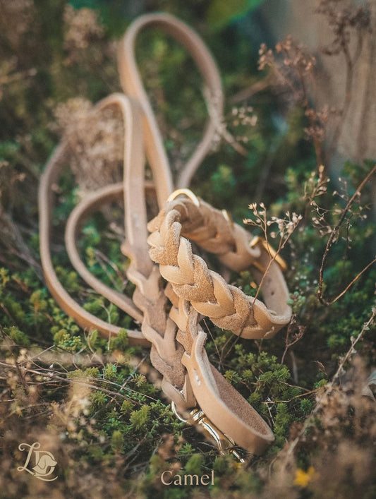 Individuelles Halsband Basic Variante