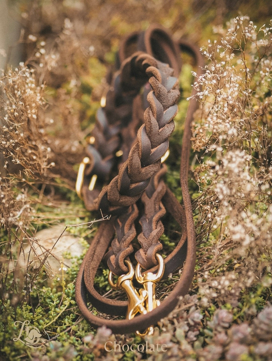 Individuelle Leine Basic Variante