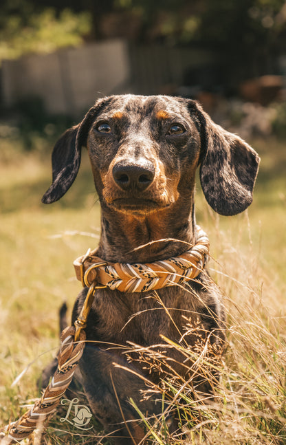 Leo Leine Cognac Special