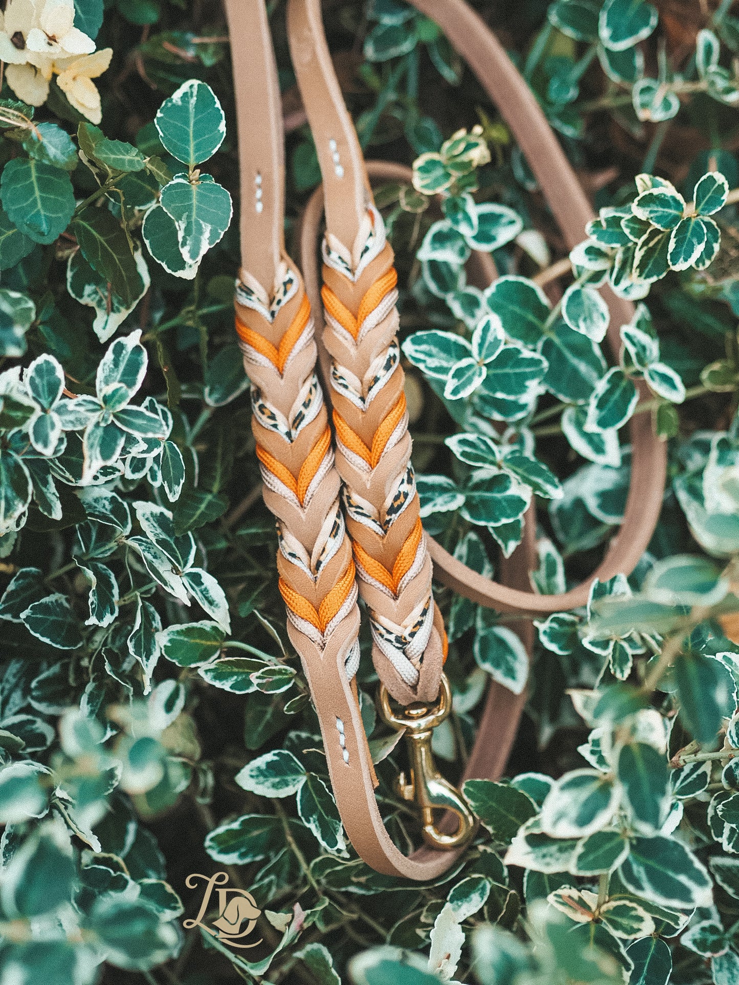 Leo Leine Multivitamin