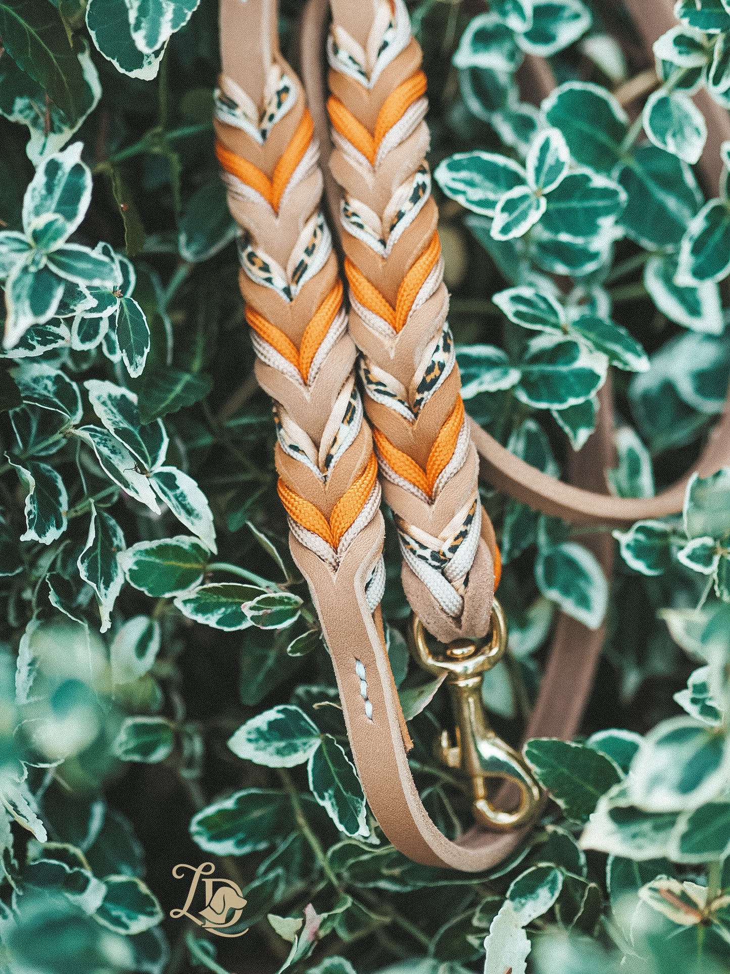 Leo Leine Multivitamin