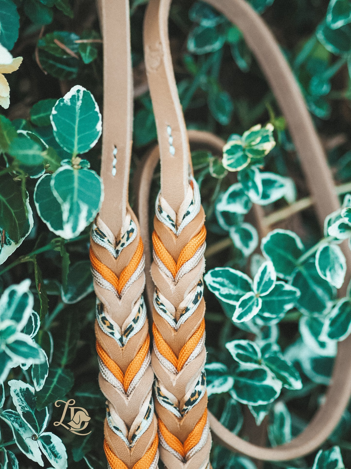 Leo Leine Multivitamin