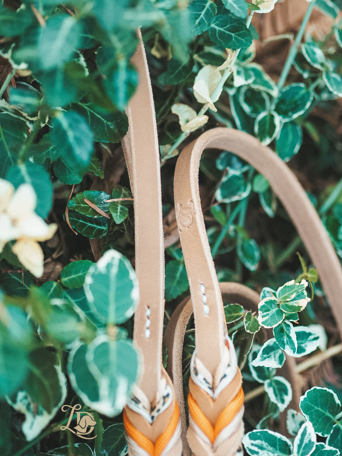 Leo Leine Multivitamin