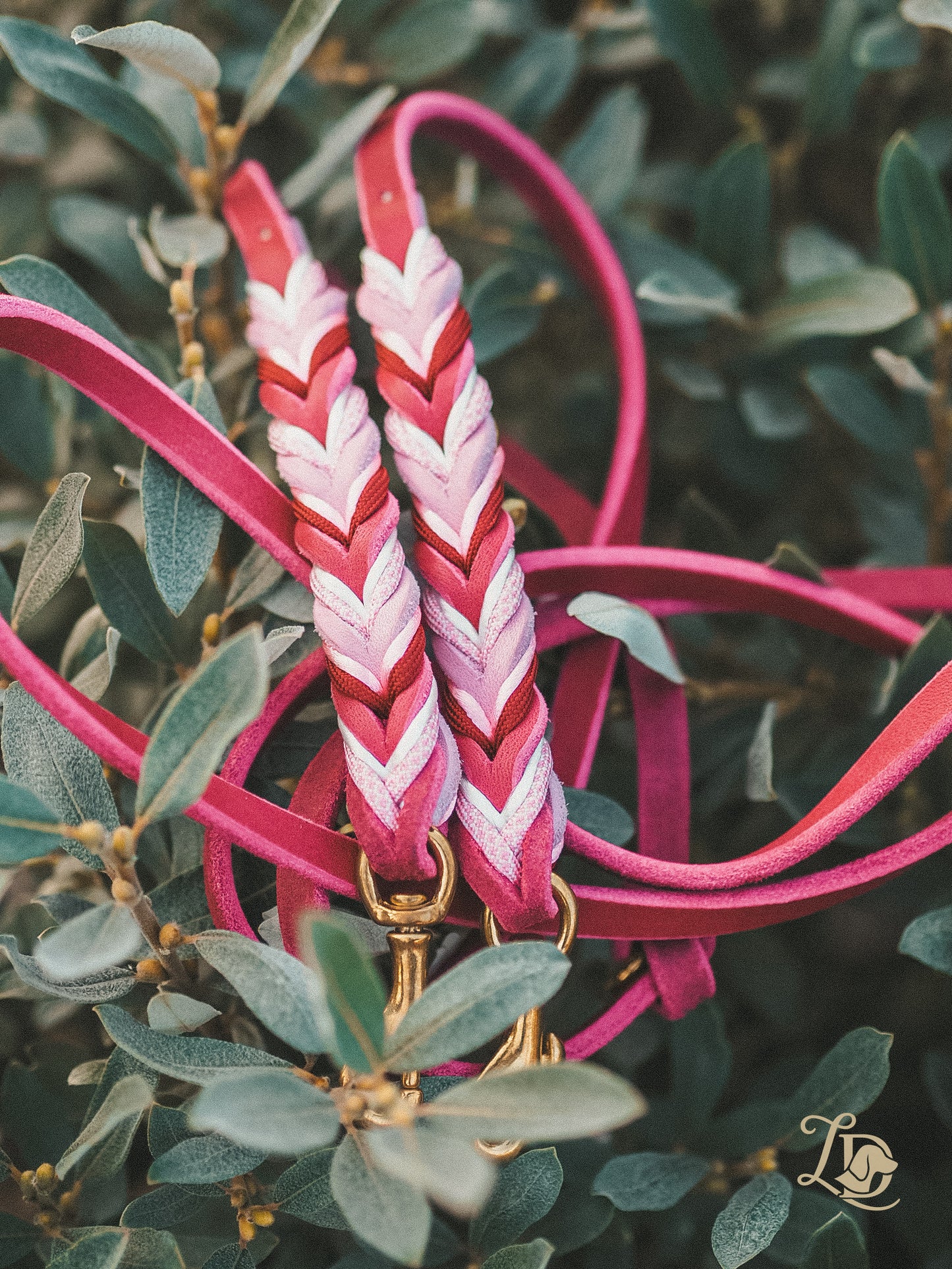 Individuelle Leine Paracordvariante