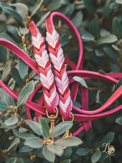 Individuelle Leine Paracordvariante