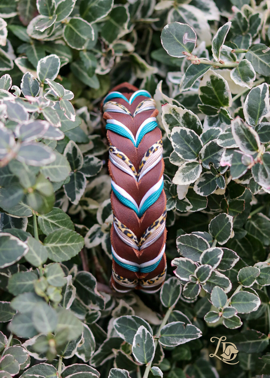 Sofortkauf Leo Halsband Braun/Petrol Halsband Silber 2,5cm Breite (27-31cm)