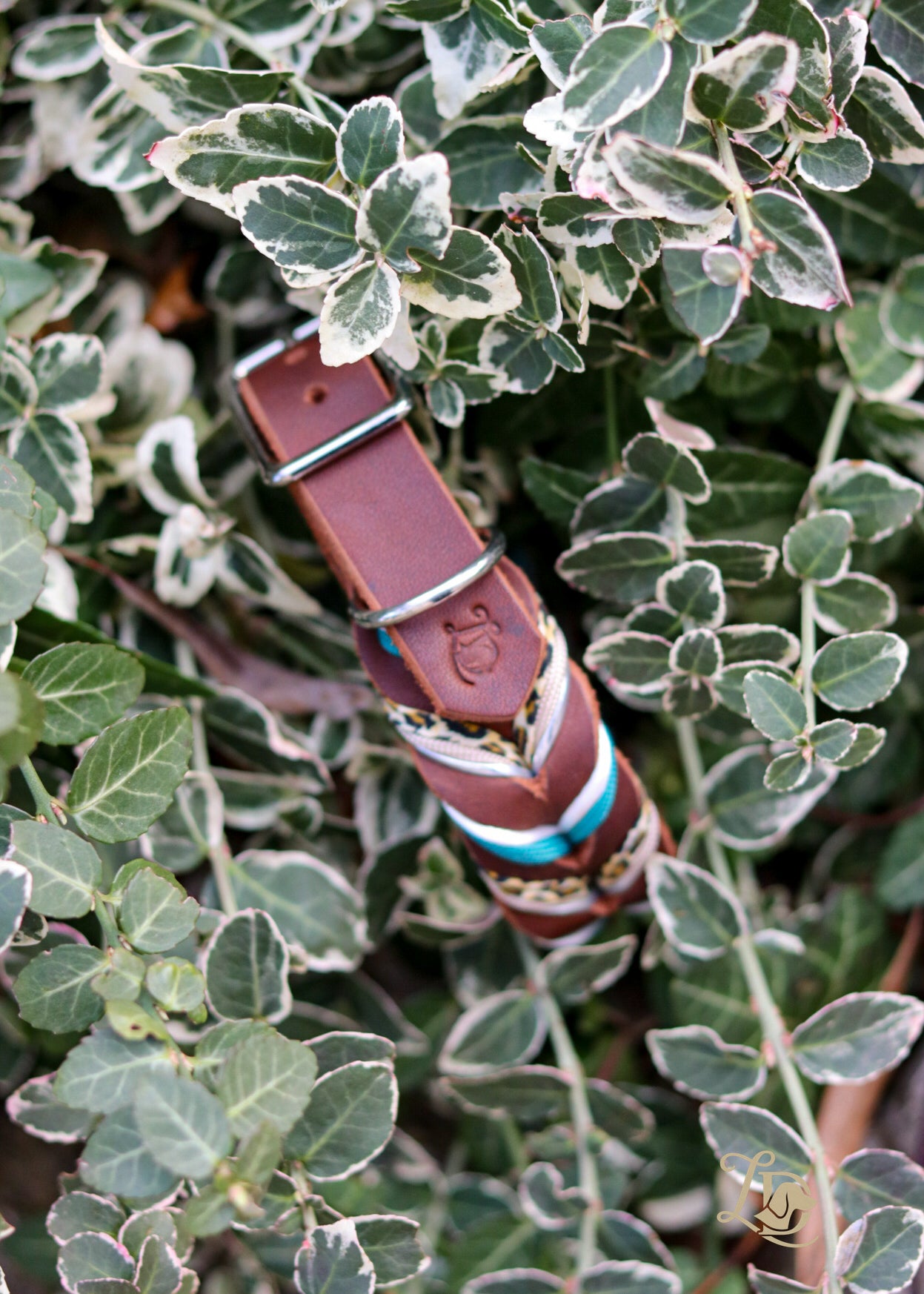 Sofortkauf Leo Halsband Braun/Petrol Halsband Silber 2,5cm Breite (27-31cm)