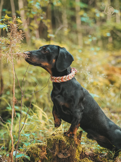 Apple blossom Halsband Rosa