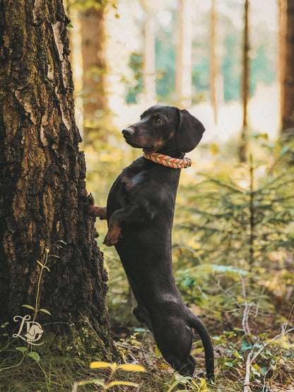Apple blossom Halsband Rosa