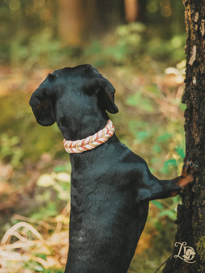 Apple blossom Halsband Rosa
