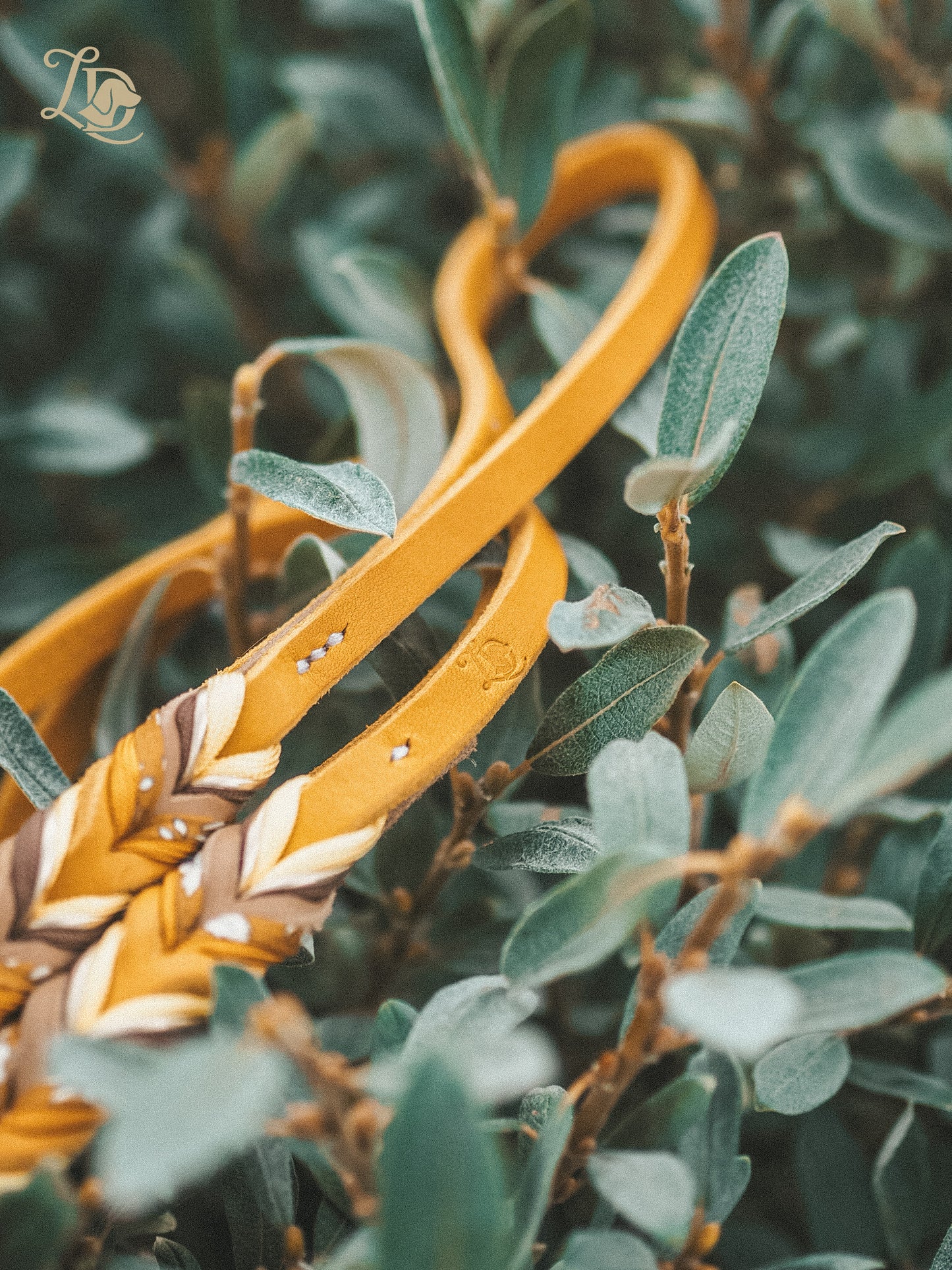 Sunflower Leine Ocker