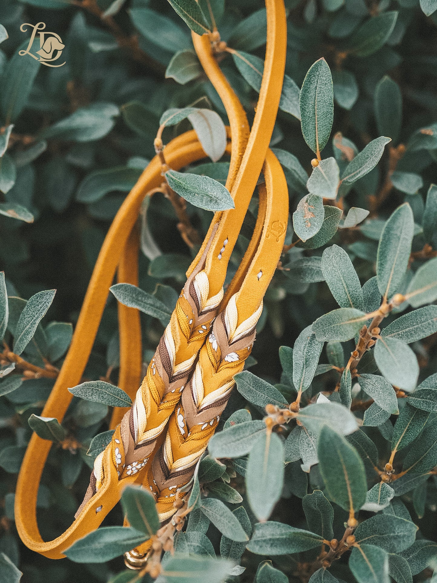 Individuelle Leine Schmuckvariante