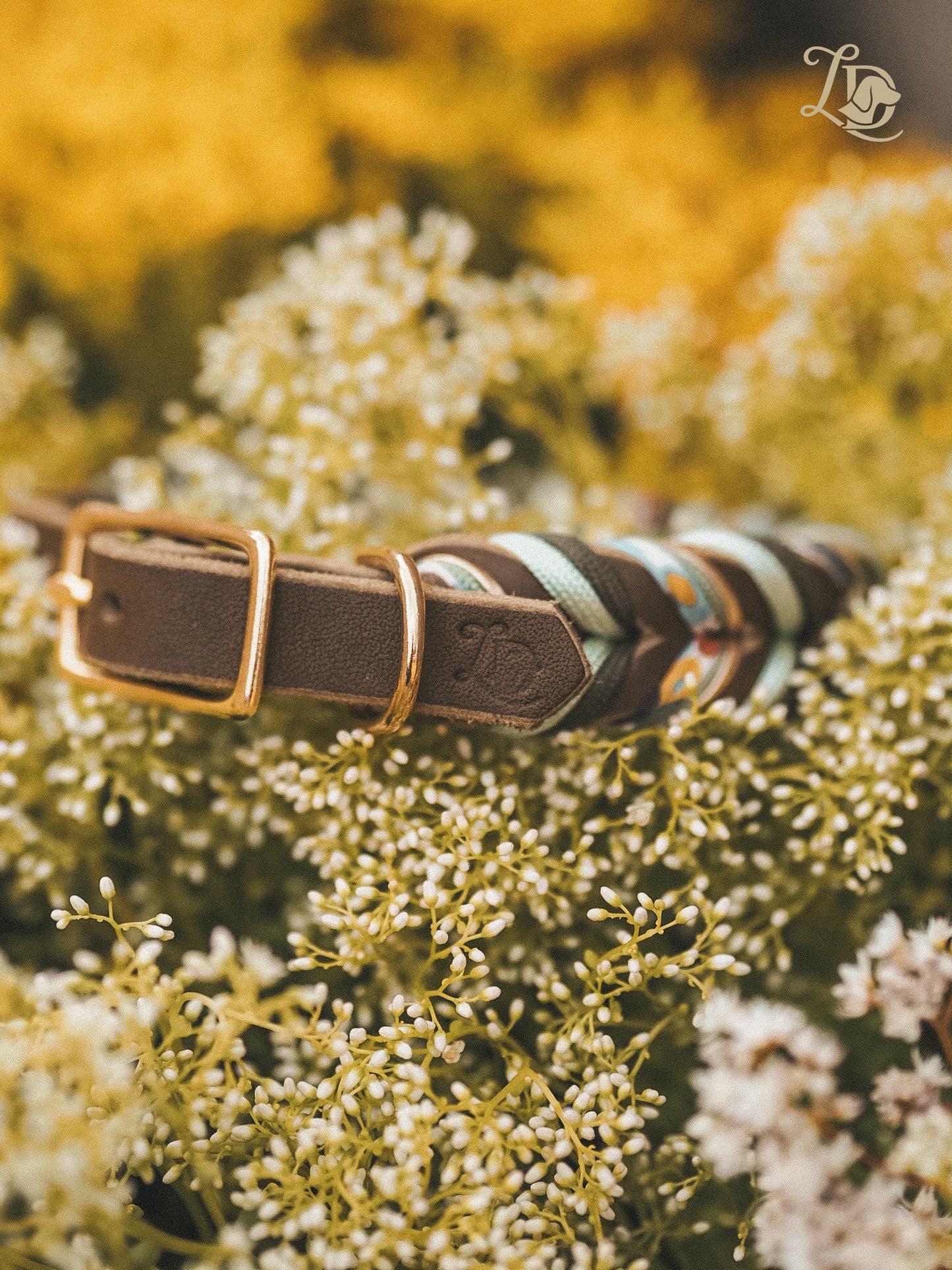 Begonia Halsband Oliv