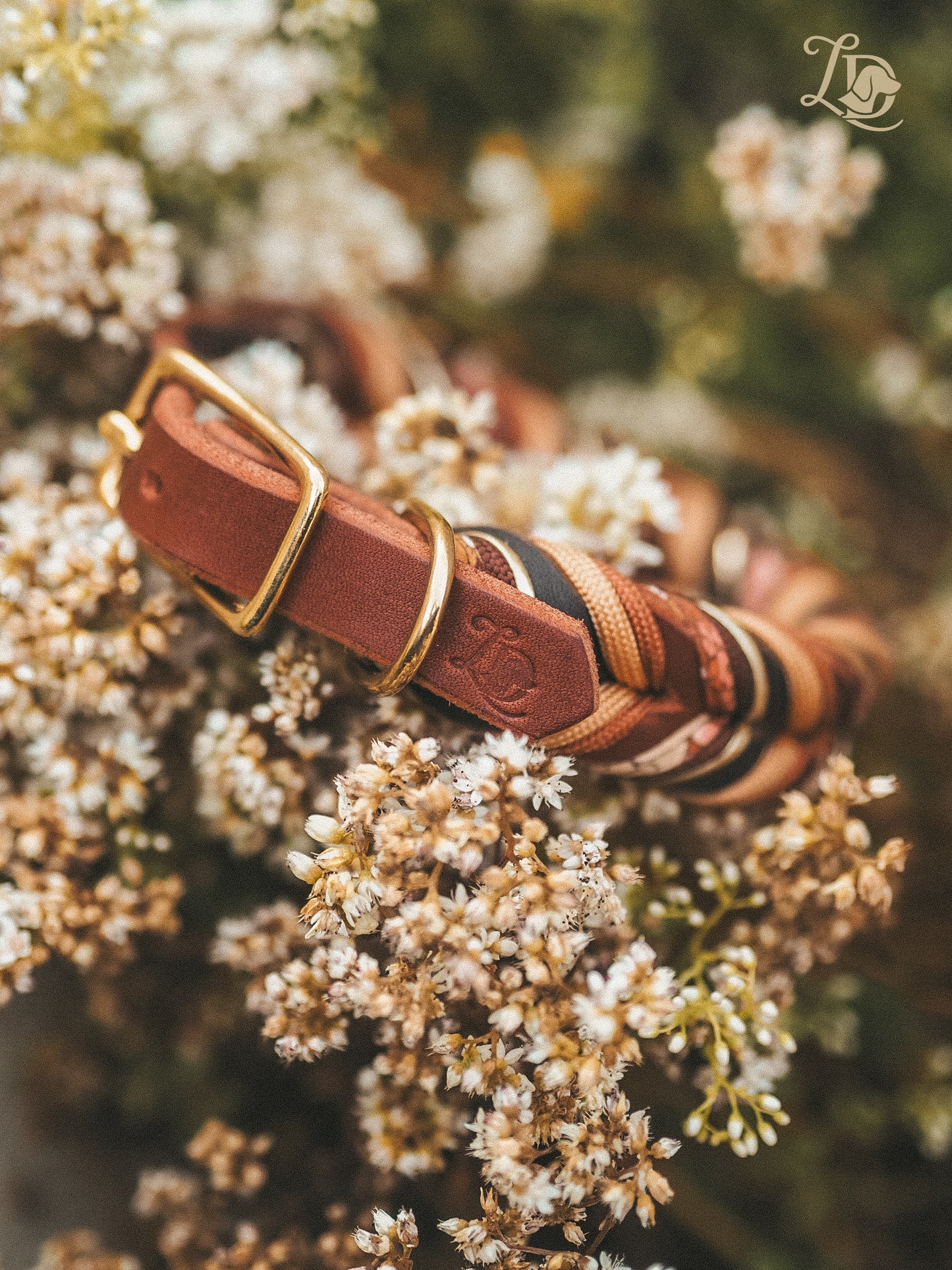 Chrysanthemum Halsband Rostrot