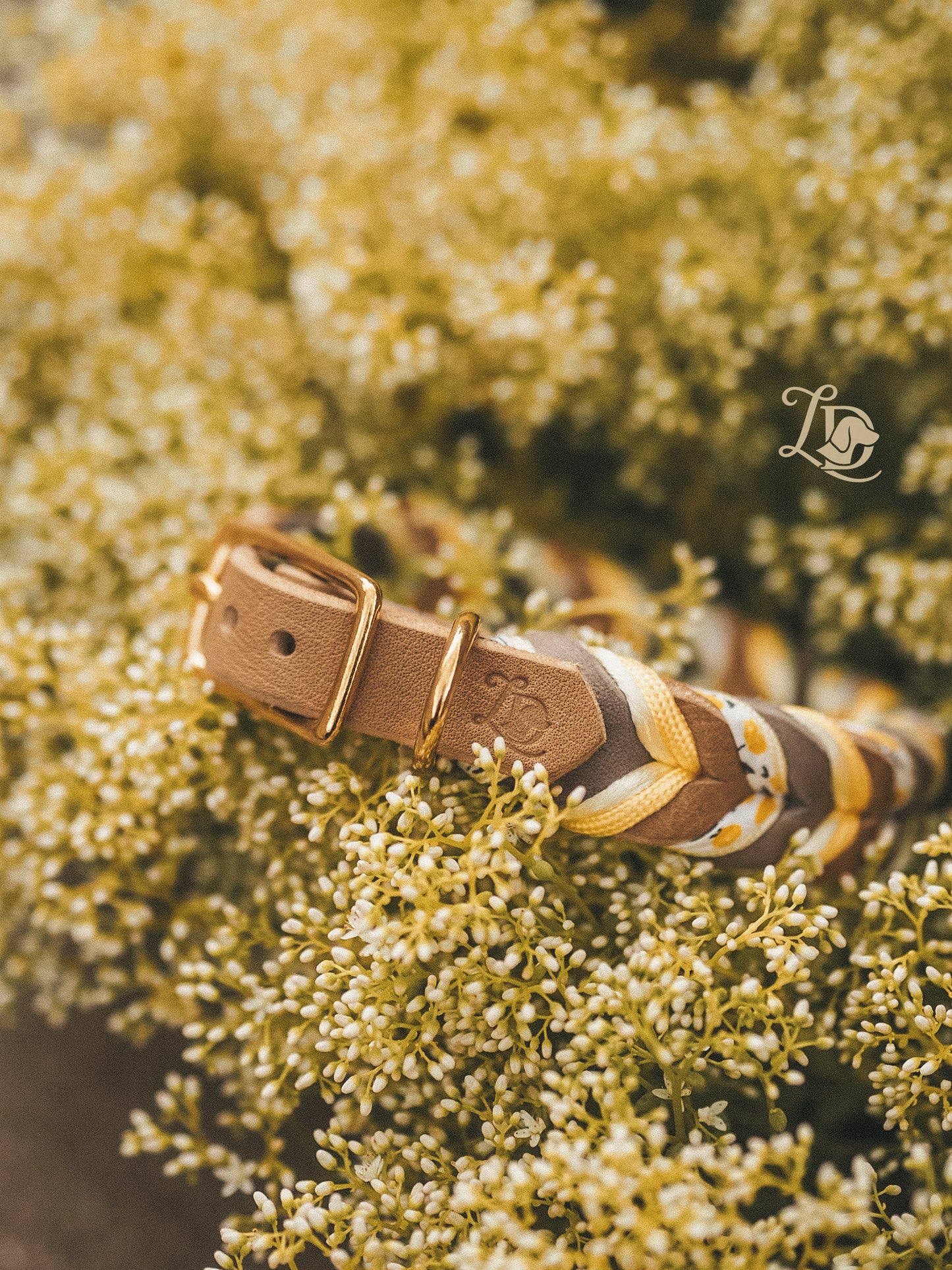 Citrus Halsband Schlamm
