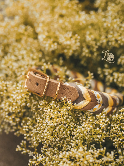 Citrus Halsband Schlamm