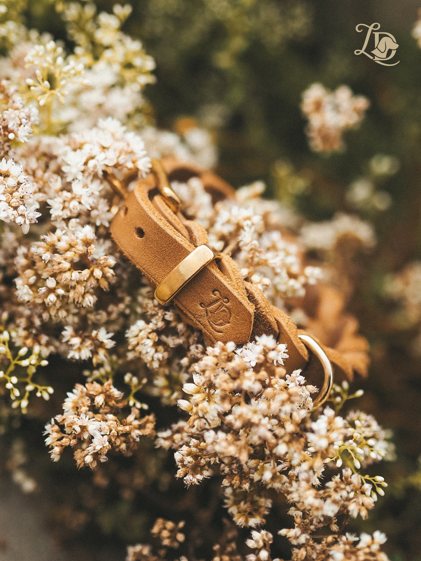 Blank Cognac Halsband