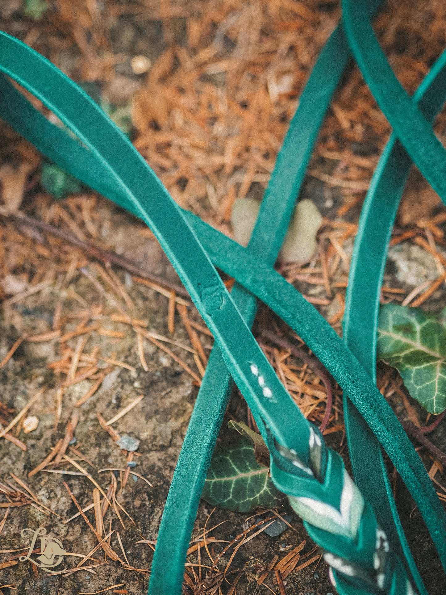 Edelweiss Leine Grün