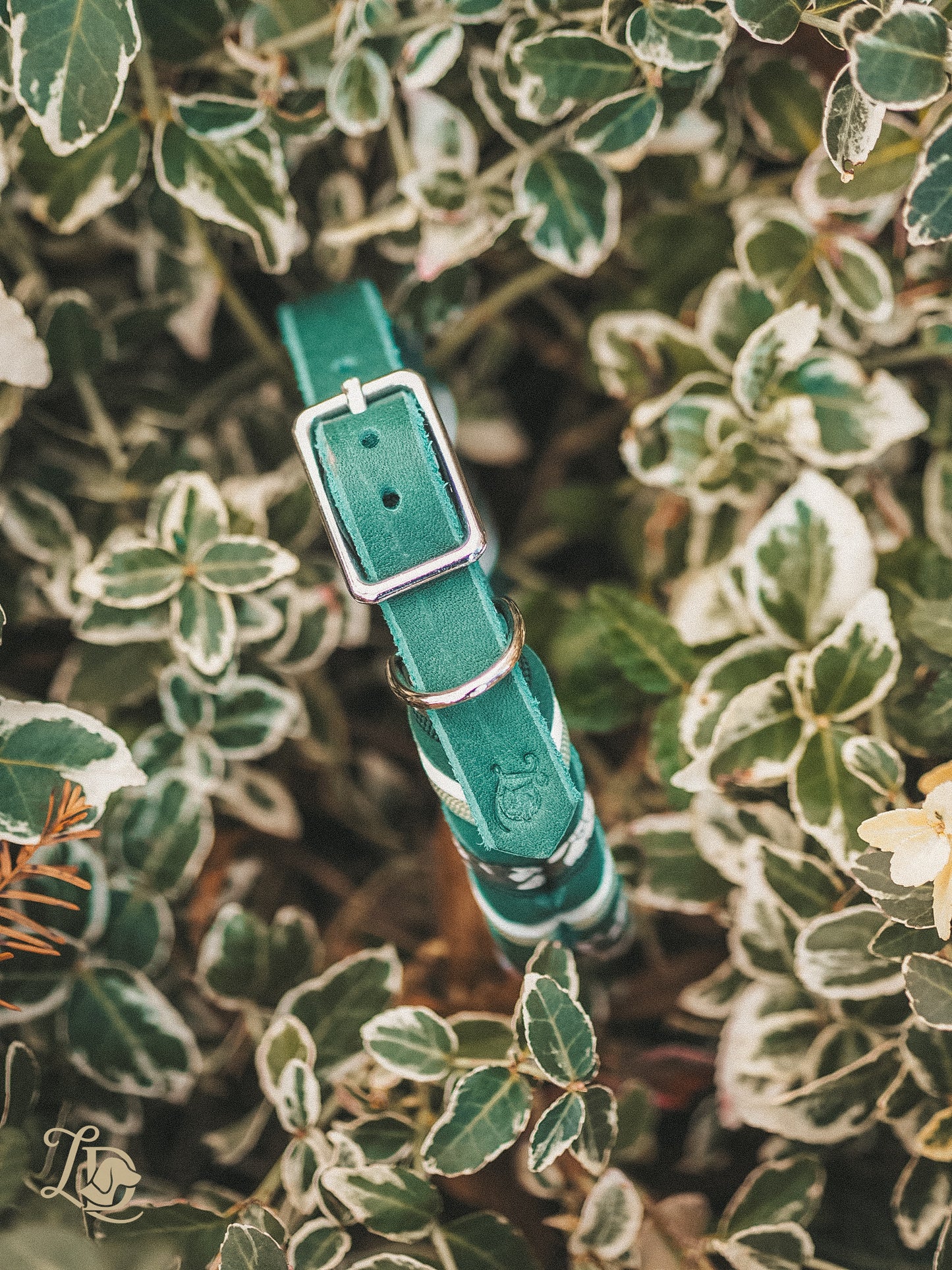 Edelweiss Halsband Grün