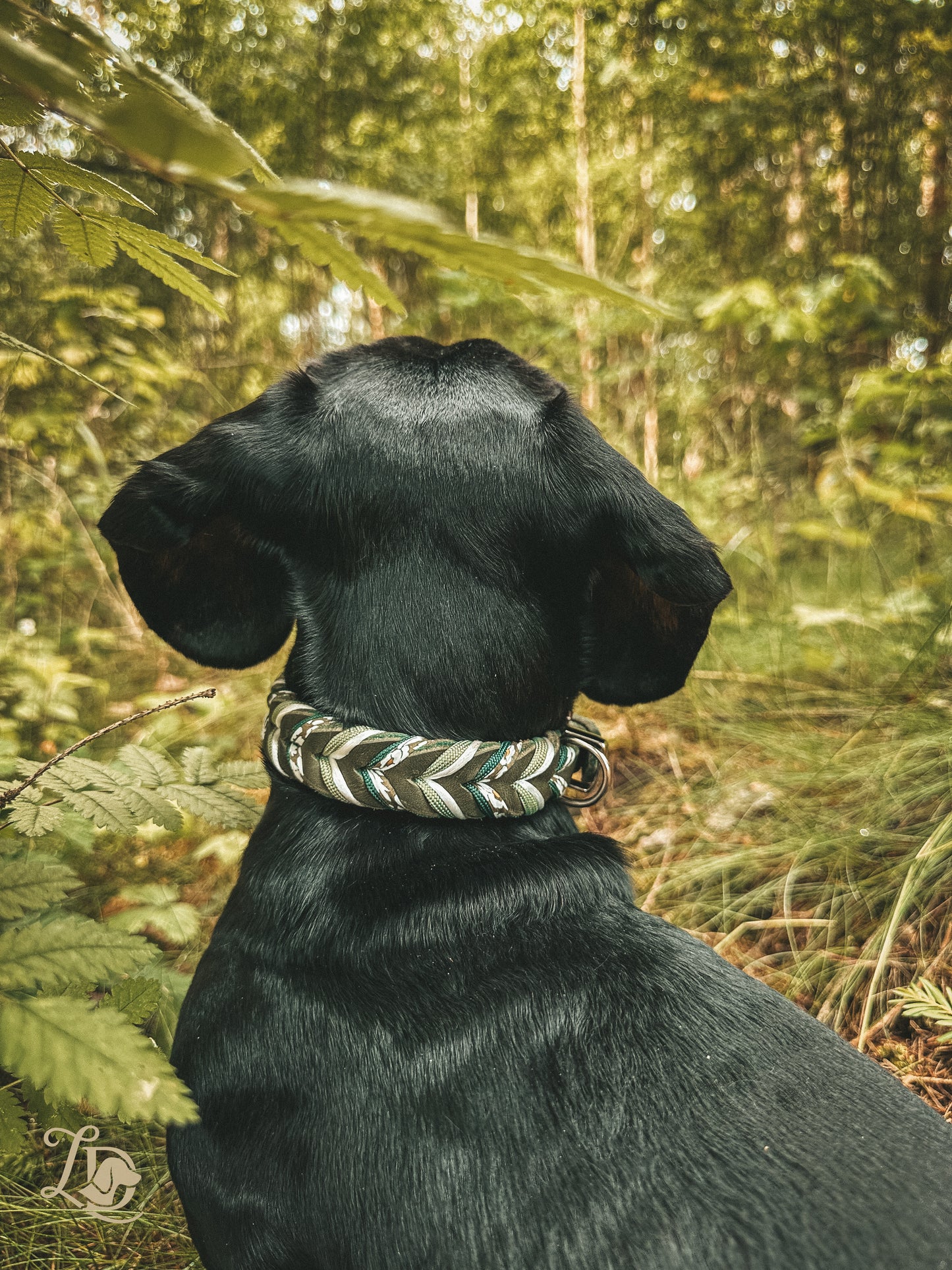 Edelweiss Halsband Grün