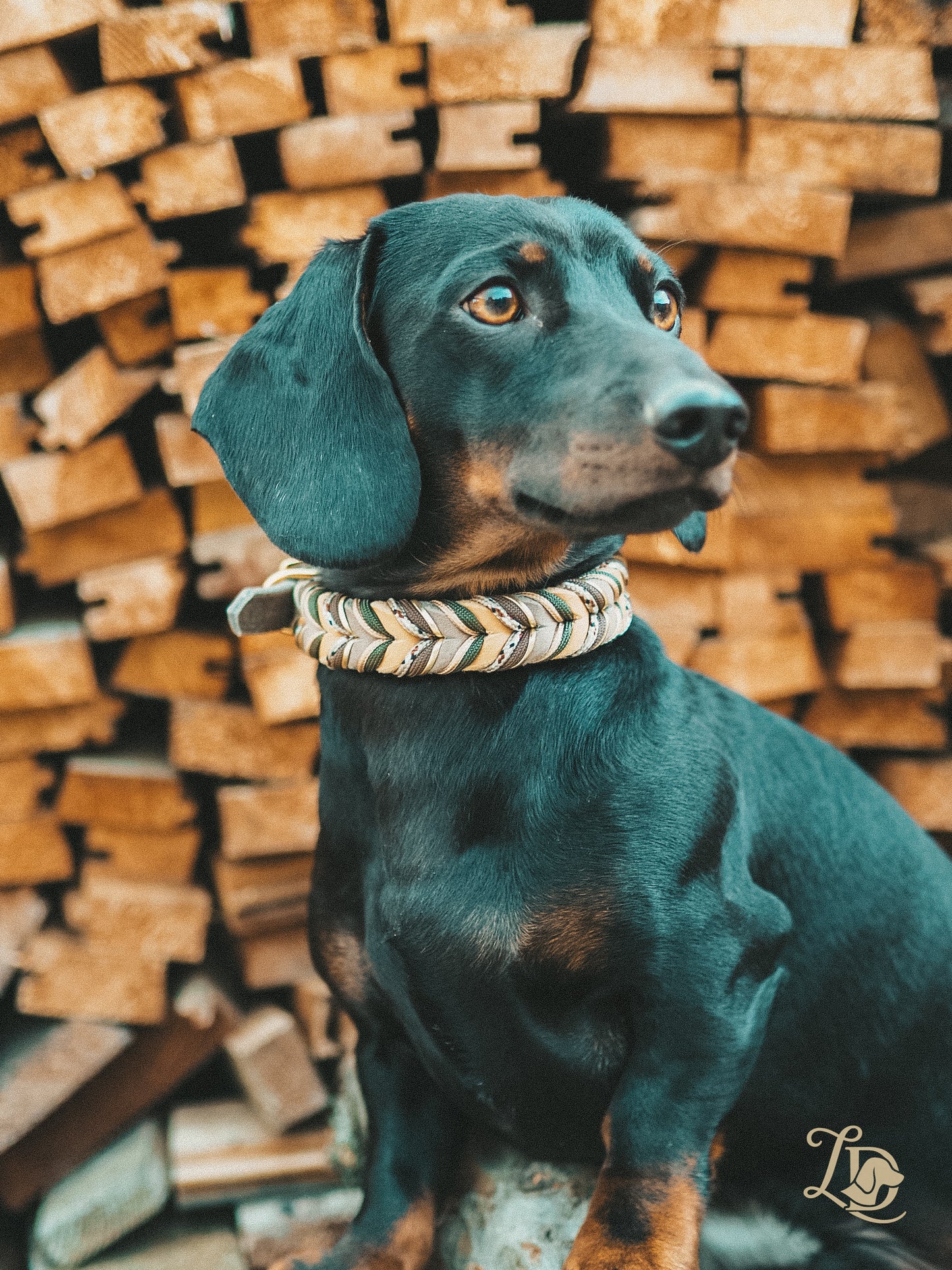 Sherdax Light Halsband