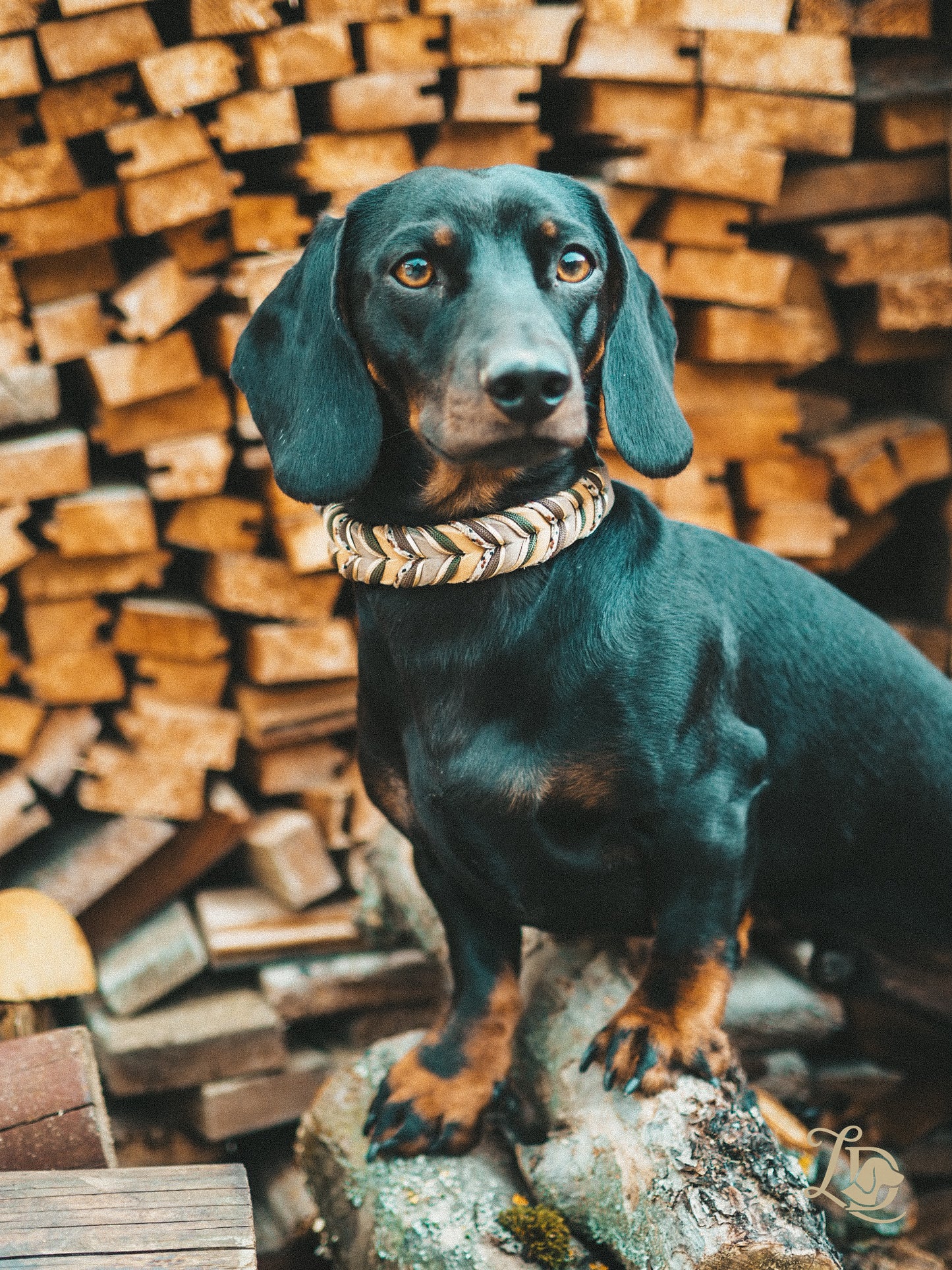 Sherdax Light Halsband