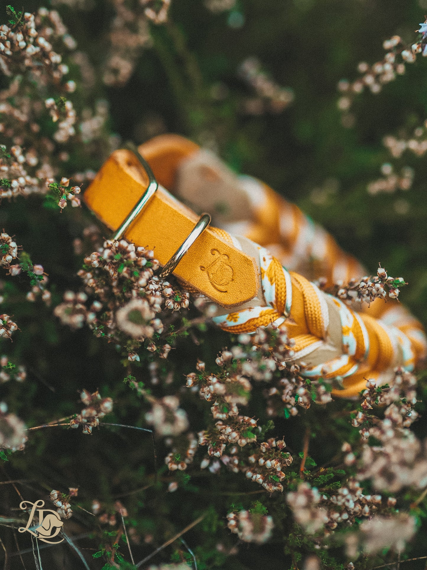 Enchanted Pumpkin Halsband