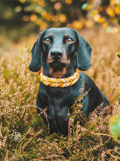Enchanted Pumpkin Halsband
