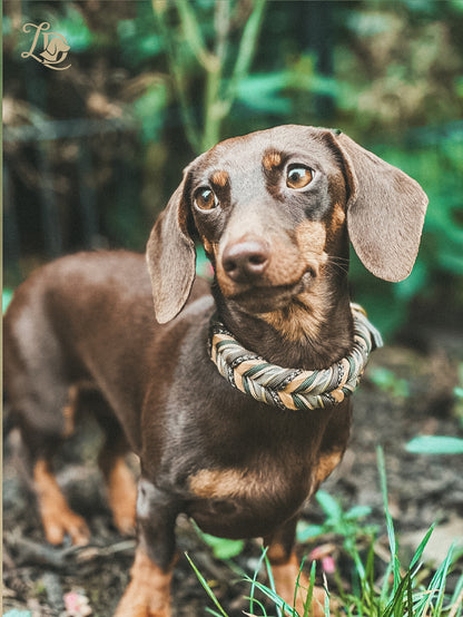 Sherdax Dark Halsband