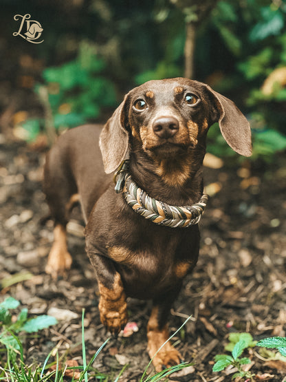 Sherdax Dark Halsband