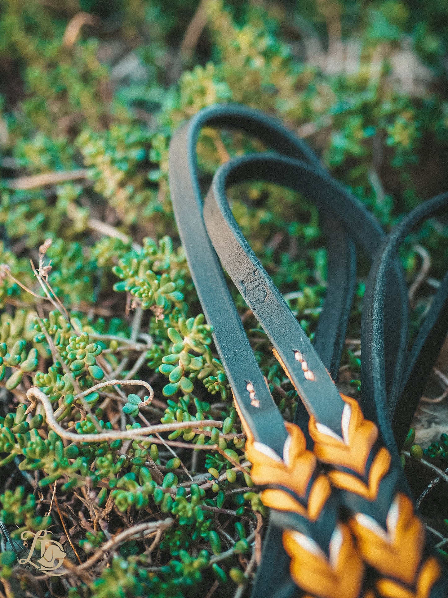 Spooky Halloween Leine