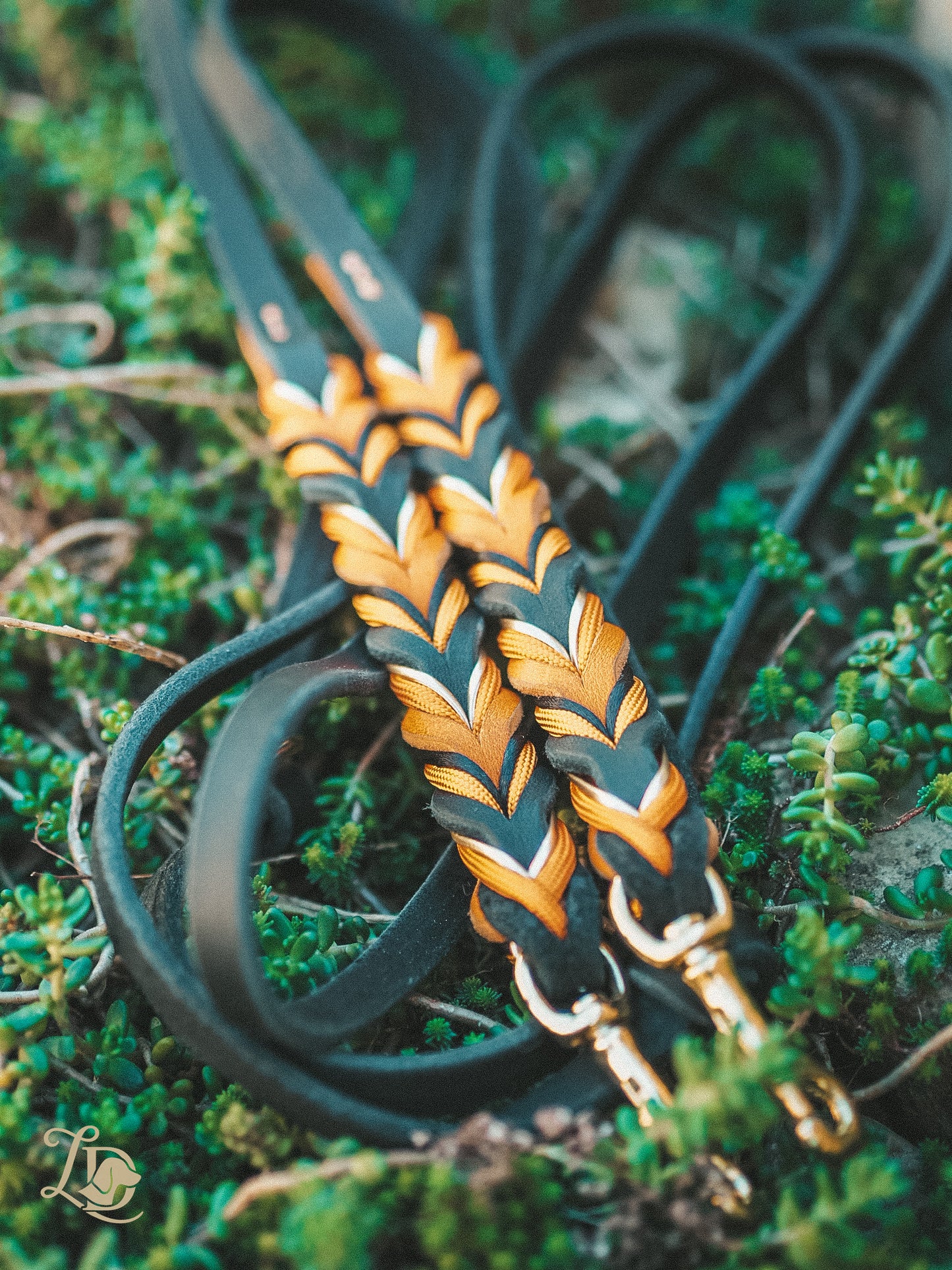 Spooky Halloween Leine