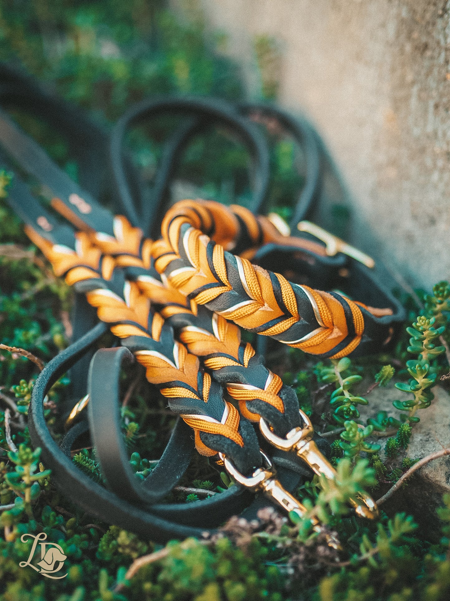 Spooky Halloween Halsband