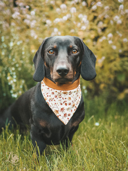 Autumn Leaves Halstuch