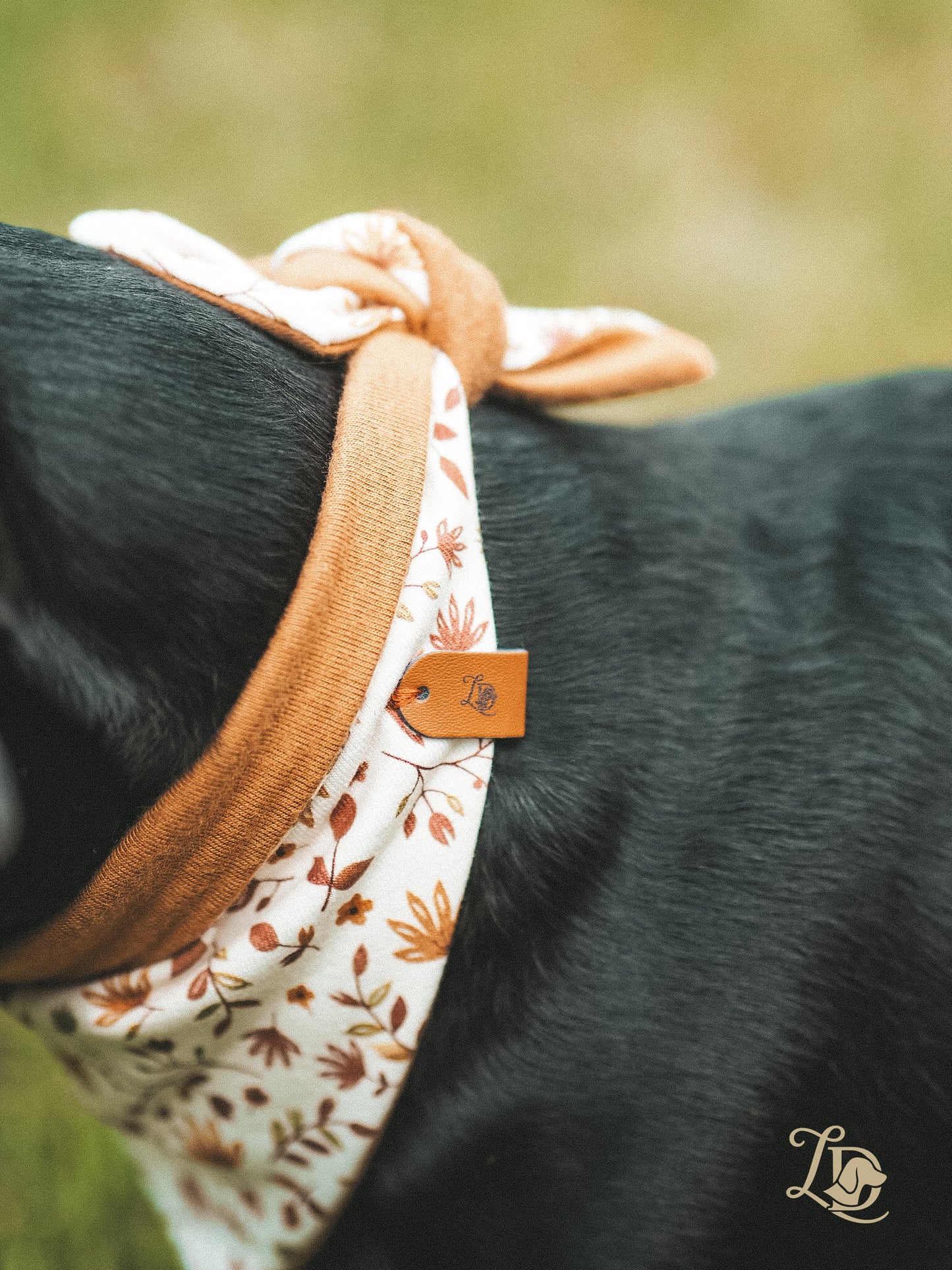 Autumn Leaves Halstuch