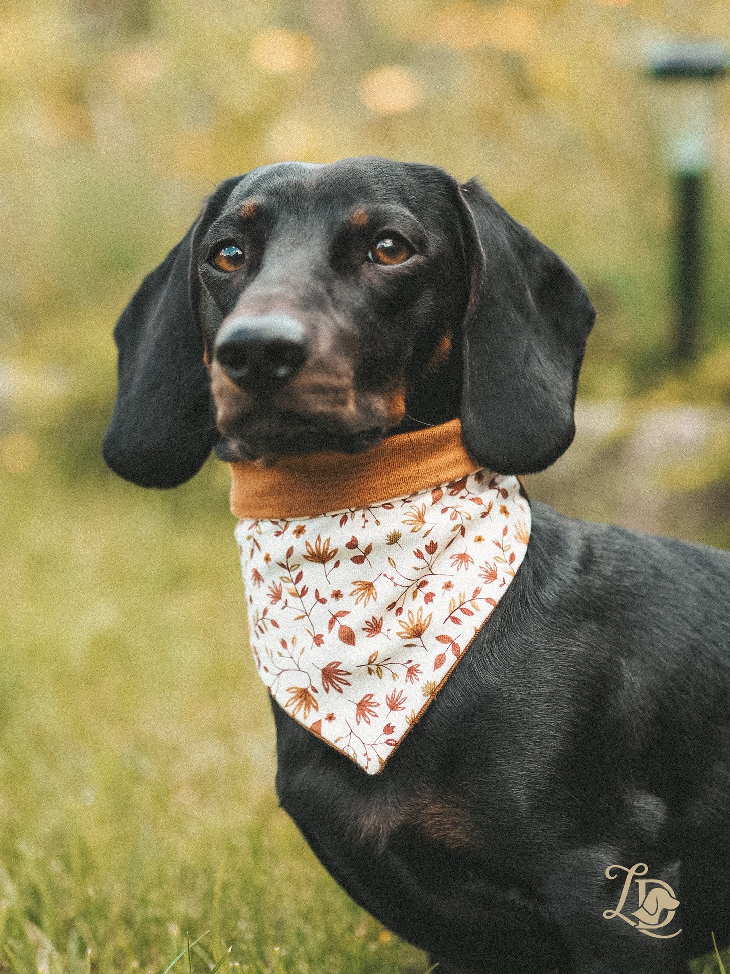 Autumn Leaves Halstuch