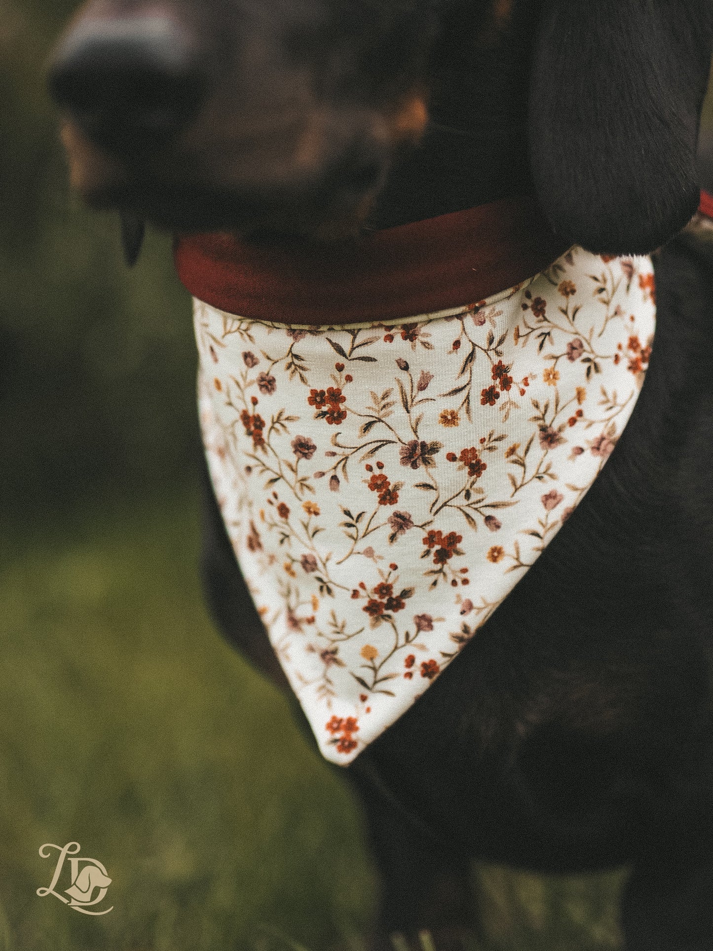 Burgundy Garden Halstuch