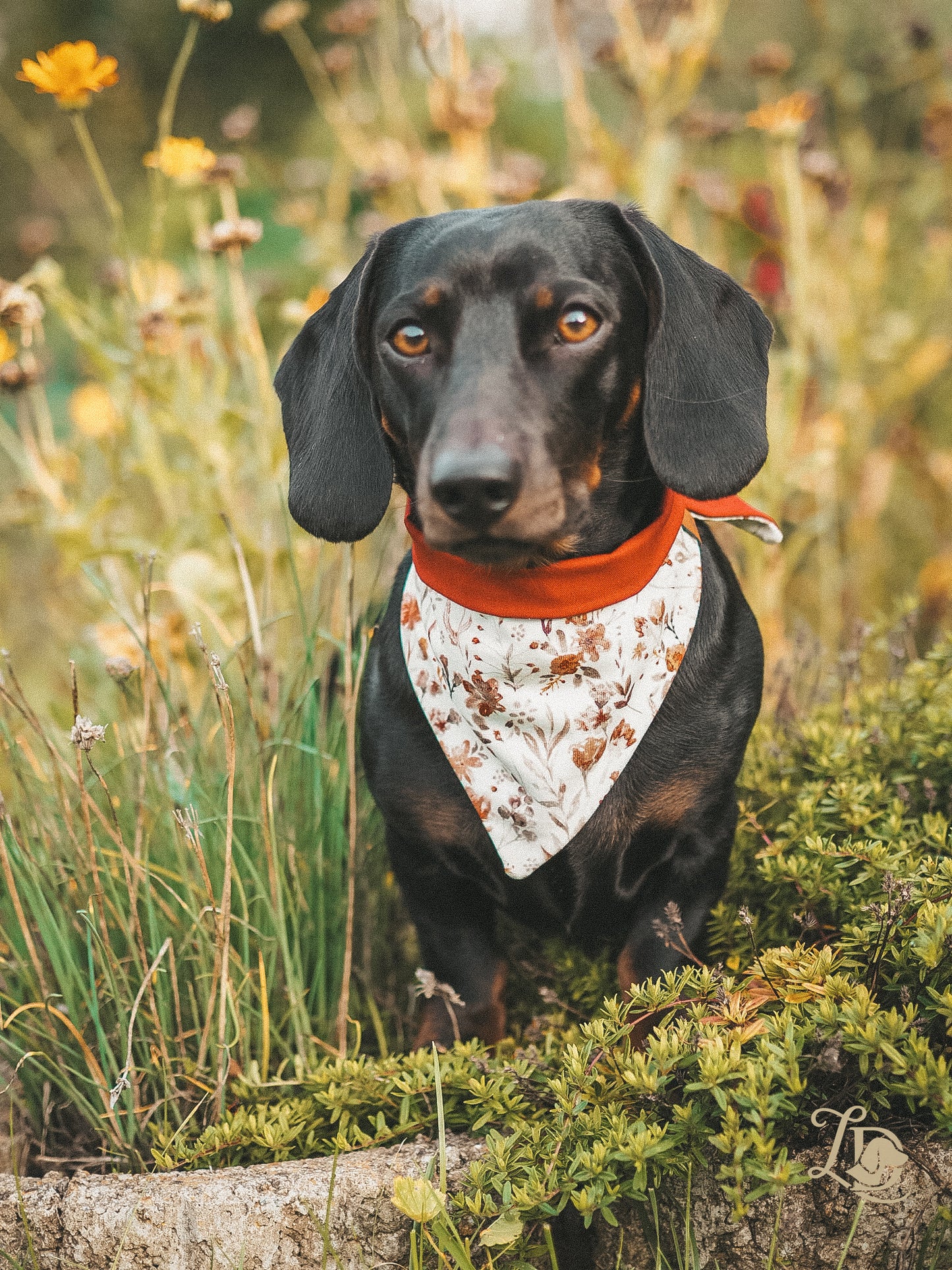 Rust Vintage Halstuch