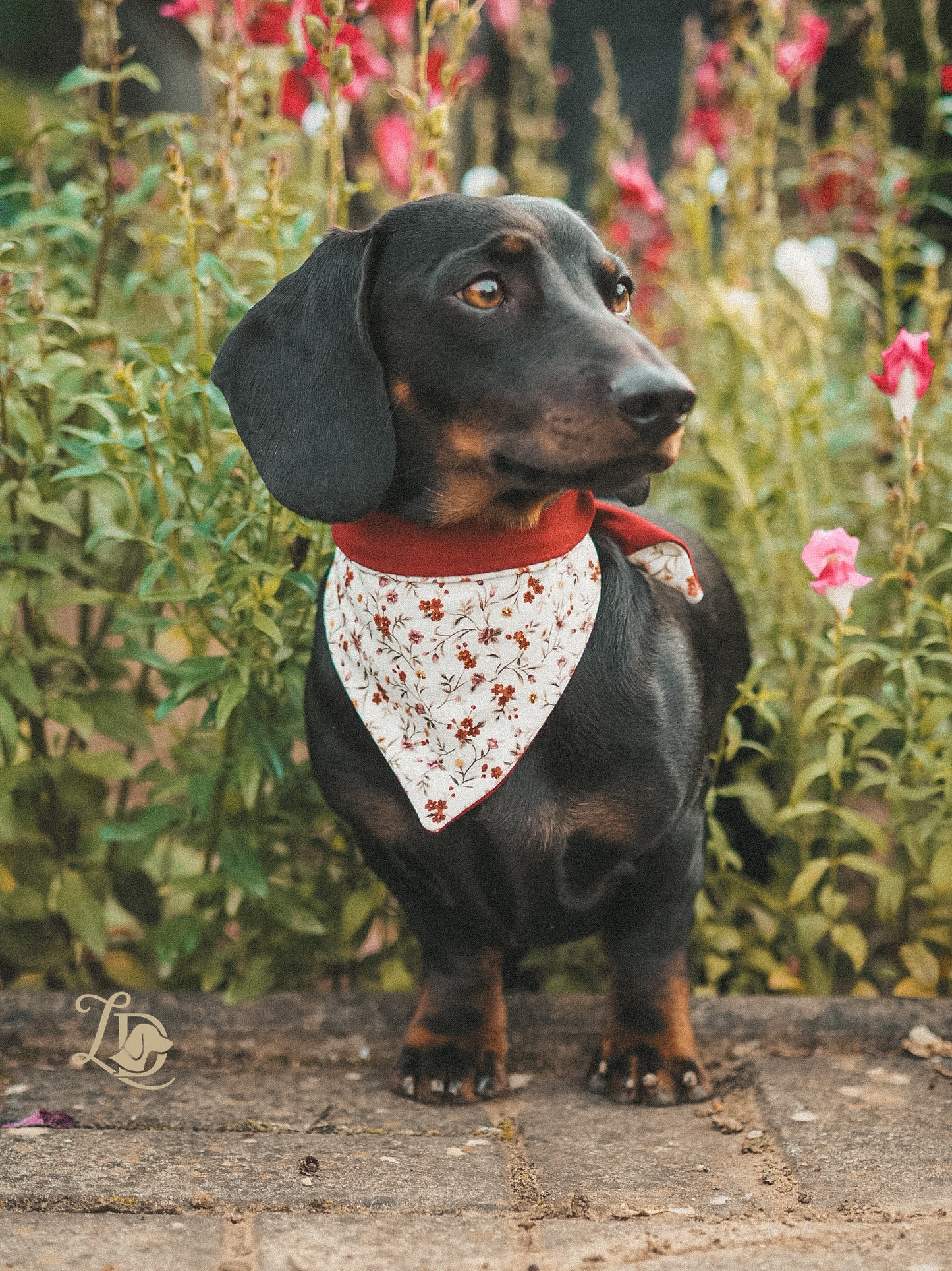 Burgundy Garden Halstuch