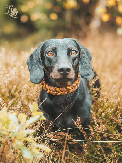 Whispering Leaves Halsband