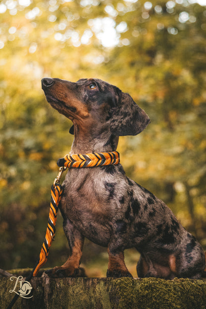 Spooky Halloween Halsband