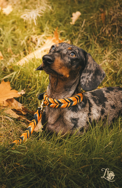 Spooky Halloween Halsband