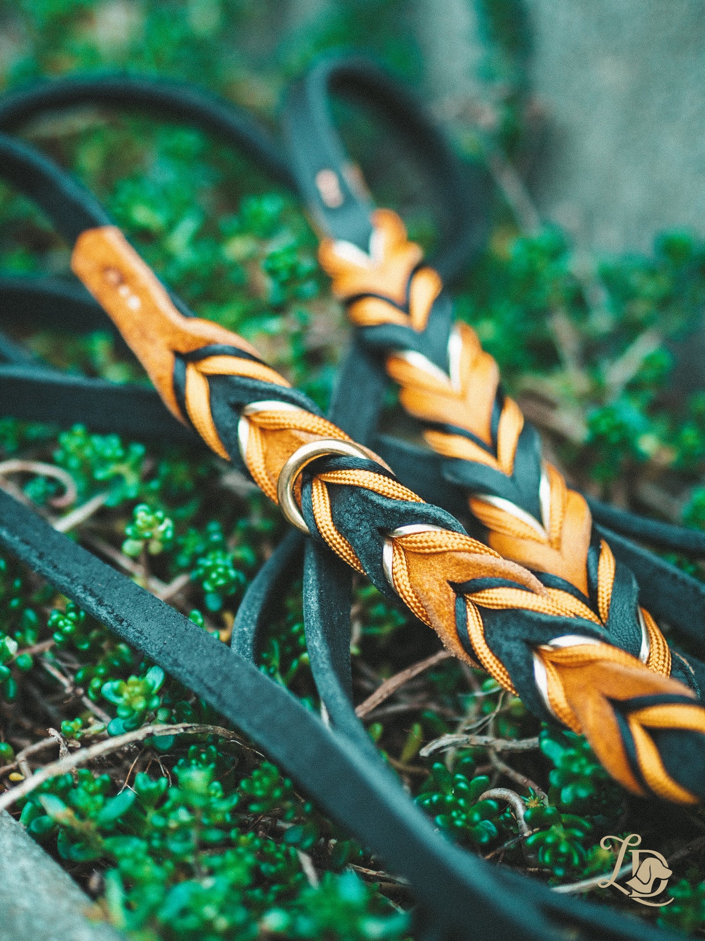 Spooky Halloween Leine