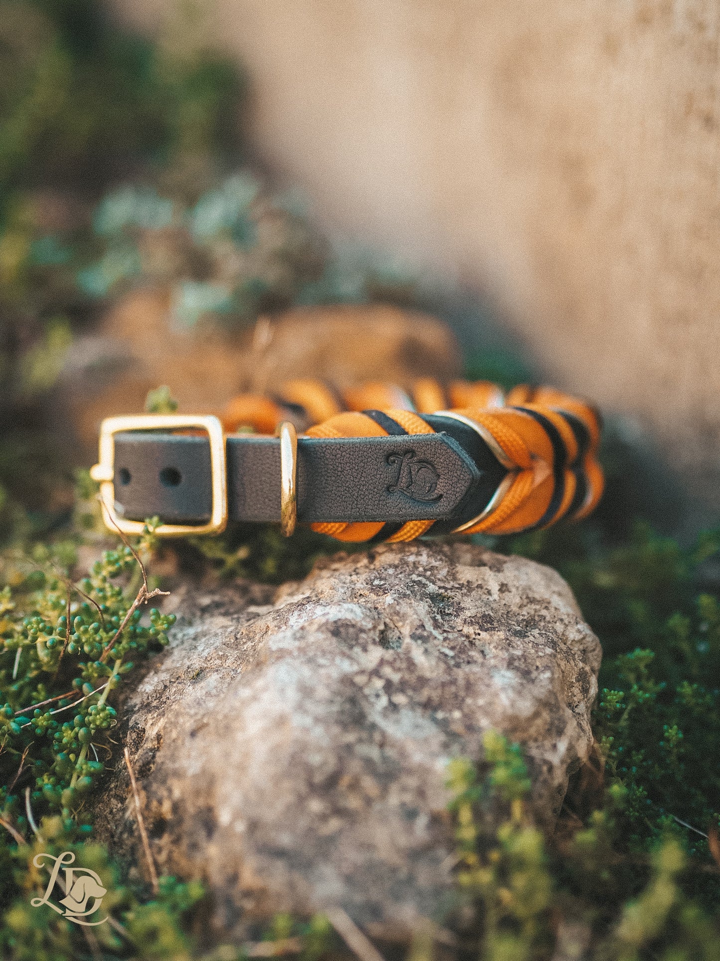 Spooky Halloween Halsband