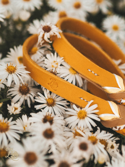 Buttercup Leine Gelb