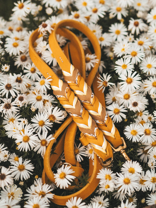 Buttercup Leine Gelb